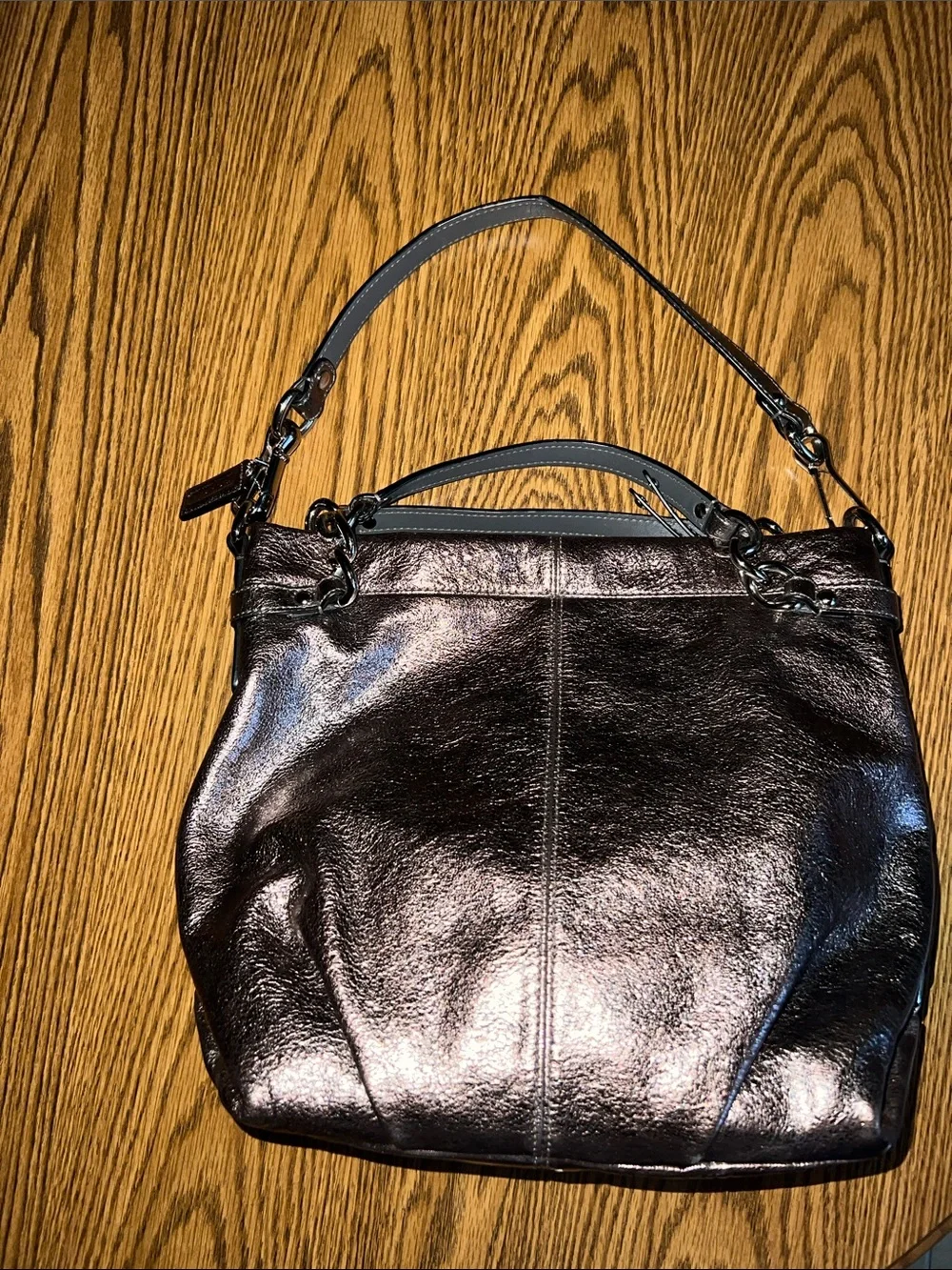 Coach Metallic Brooke Leather Pewter Hobo Bag